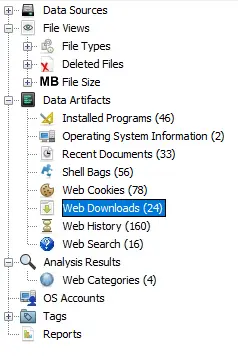 Web Downloads artifacts